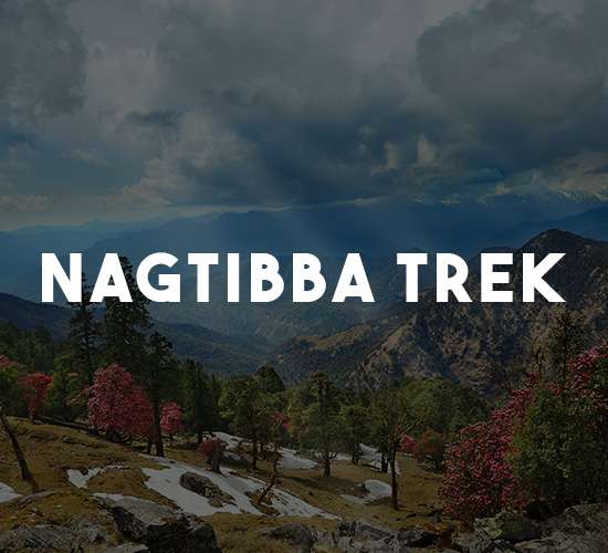 Uttarakhand tour package for nagtibba trek