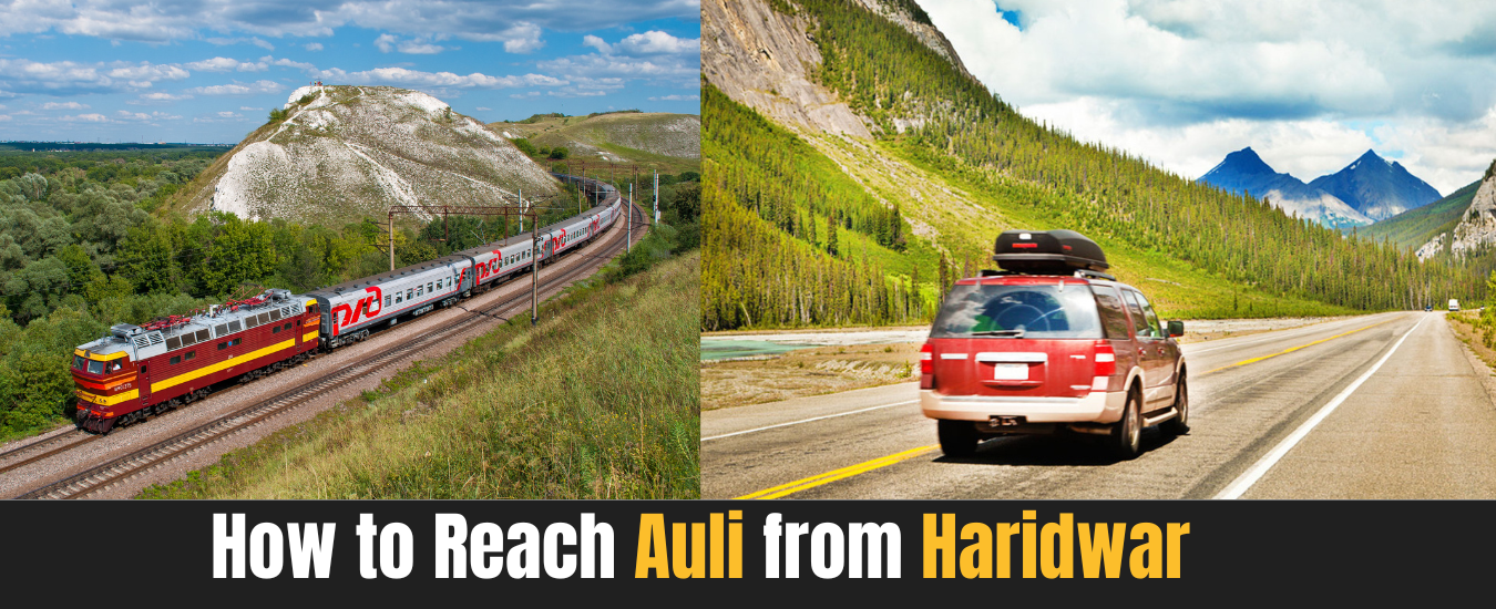 How to Reach Auli from Haridwar