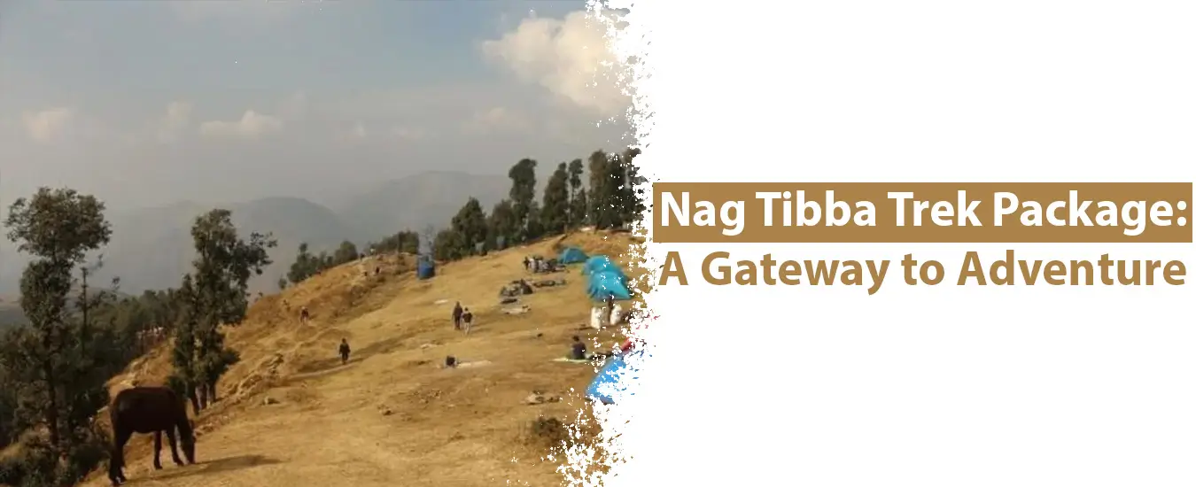 Nag Tibba Trek Package: A Gateway to Adventure