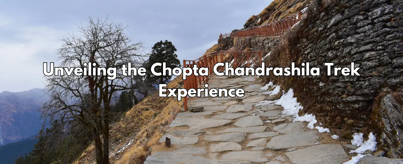 Unveiling the Chopta Chandrashila Trek Experience