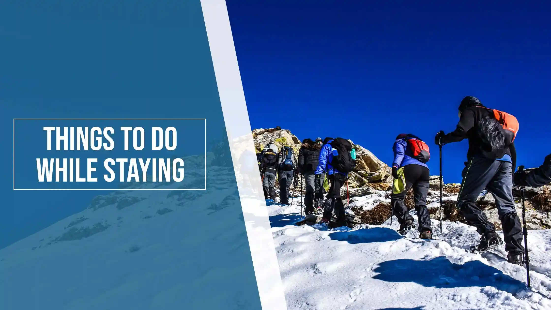 Things to Do While Staying